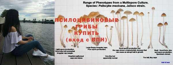 спайс Покровск