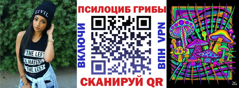 Галлюциногенные грибы GOLDEN TEACHER  Гурьевск 