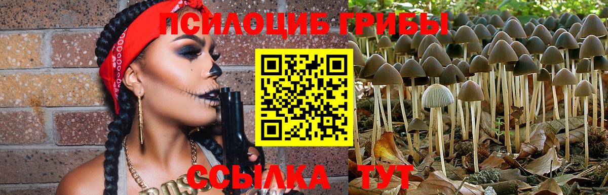 Гурьевск  Галлюциногенные грибы MAGIC MUSHROOMS  Вход с VPN 