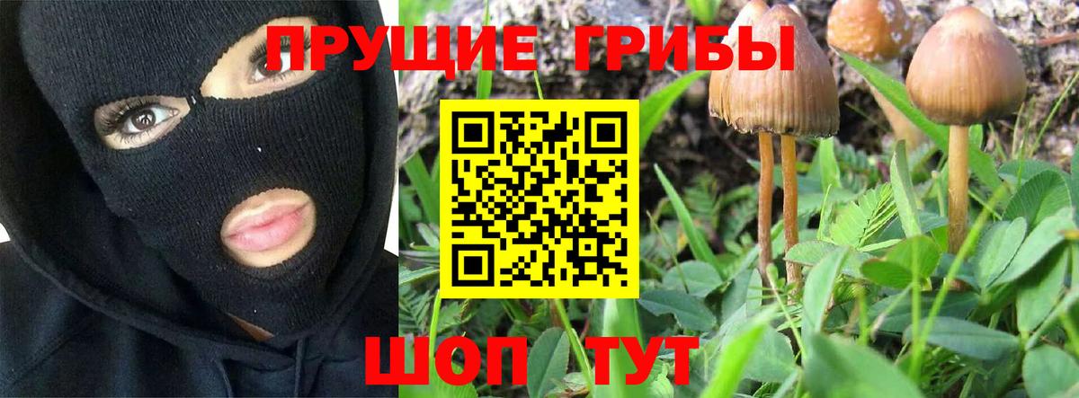 Галлюциногенные грибы MAGIC MUSHROOMS Гурьевск