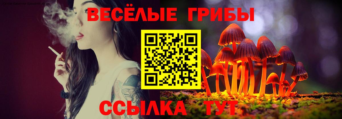 Псилоцибиновые грибы прущие грибы Гурьевск